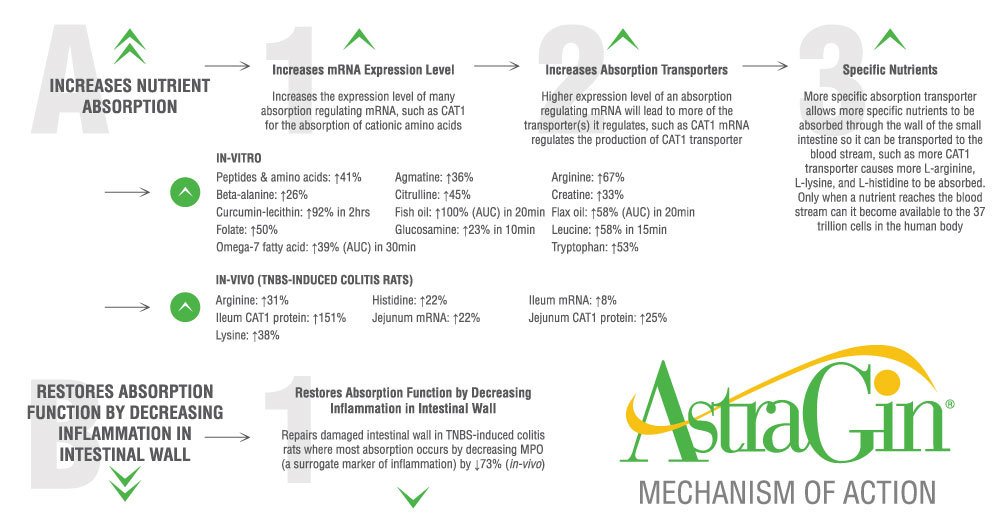 L-arginine Plus® Enhance with Astragin