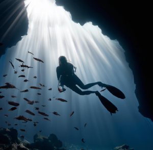 A better cardiovascular system improves free diving training