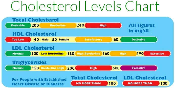 weight loss and cholesterol
