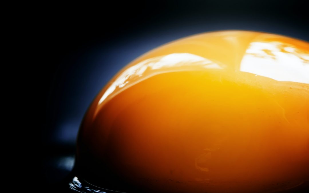 Are Eggs High in Cholesterol and What Are the Benefits?