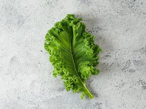 Green kale leaf on gray cement background, top view