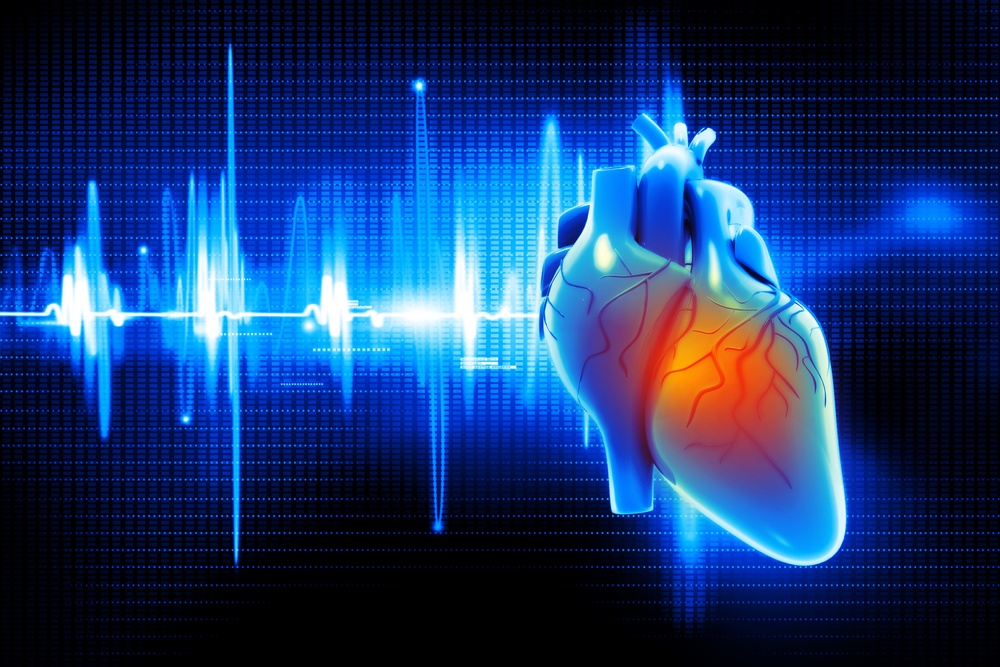 Must-Know Facts About Your Heart