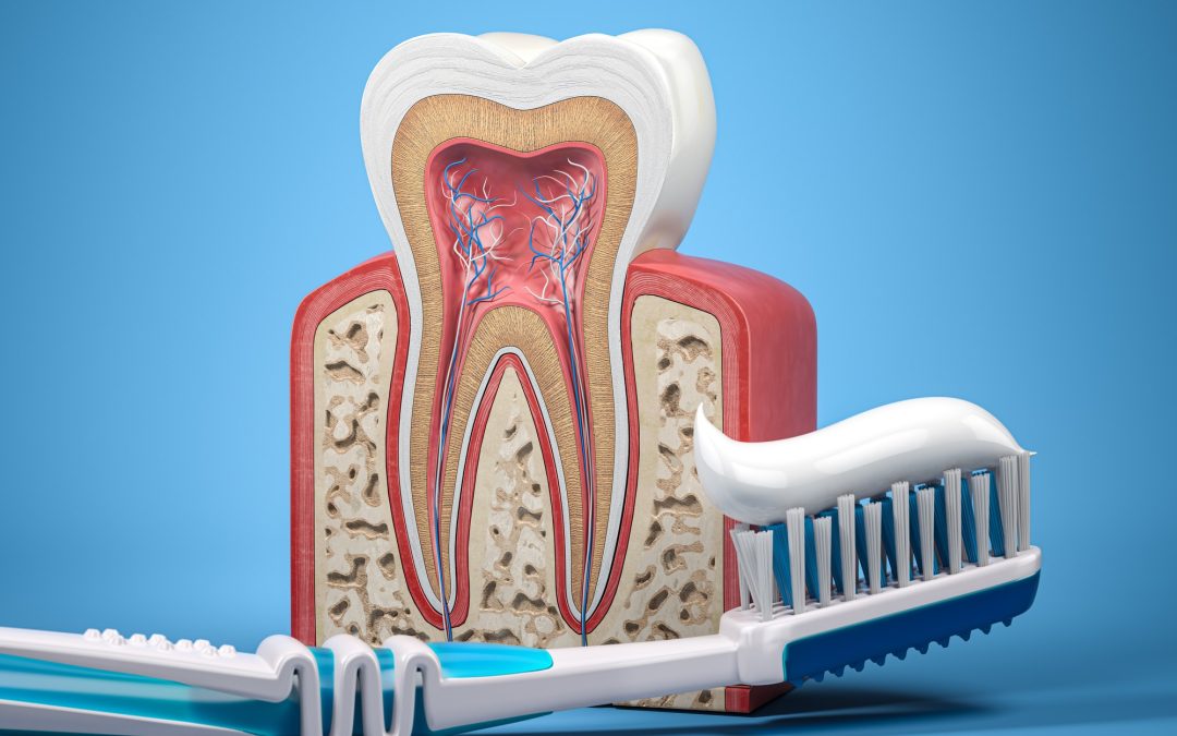 How Taking Care of Your Teeth Can Help Your Heart